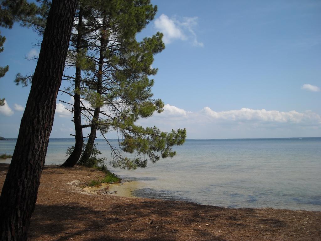 Studio Mansarde Climatise Les Roseaux Bord De Lac Biscarrosse Exterior foto