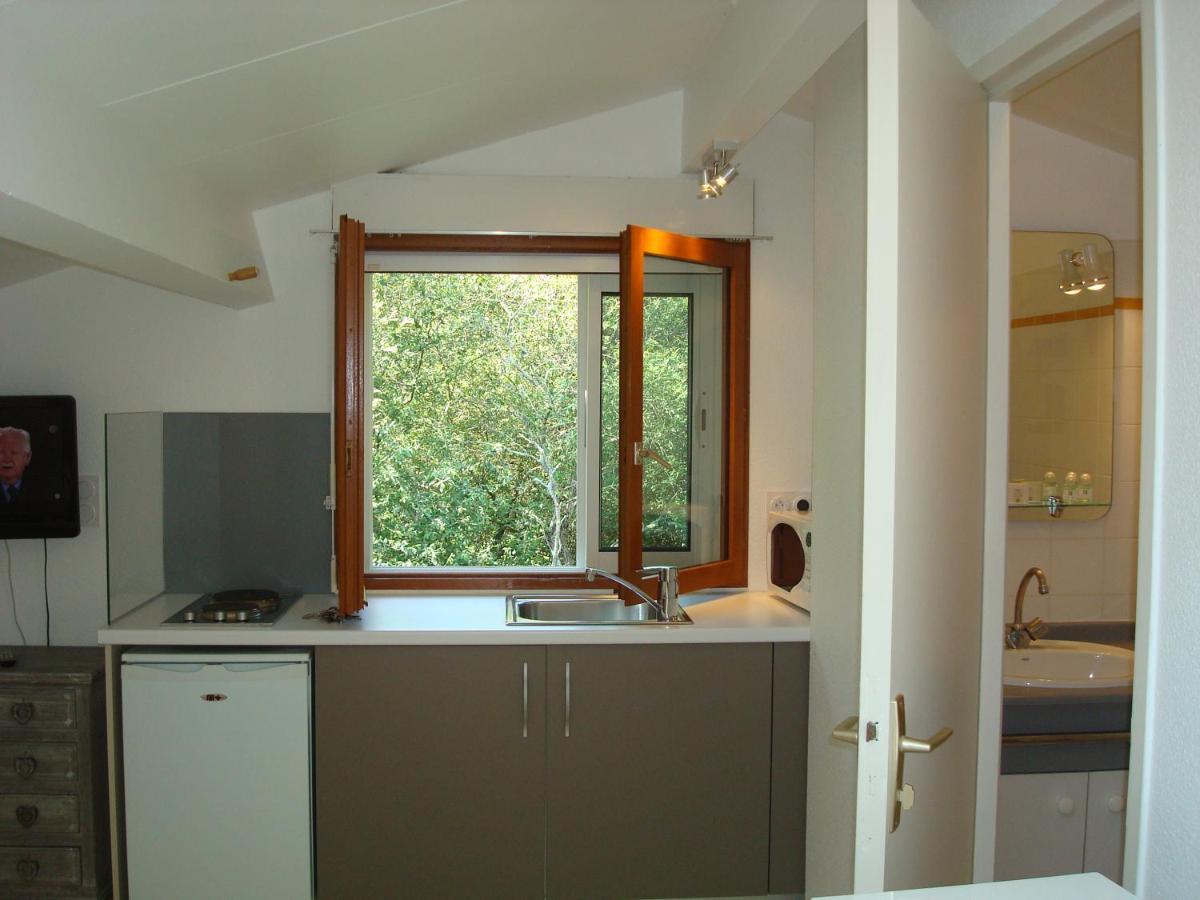 Studio Mansarde Climatise Les Roseaux Bord De Lac Biscarrosse Exterior foto